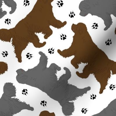 Trotting Newfoundlands and paw prints - white