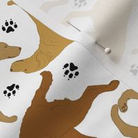 Trotting Chessies and paw prints - white