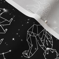 constellations // black and white kids nursery baby geometric animals