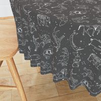 constellations // night time stars sky charcoal grey kids nursery baby print