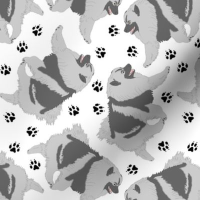 Trotting Keeshond and paw prints - white