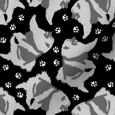 Trotting Keeshond and paw prints - black