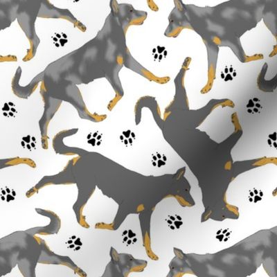 Trotting cropped Beaucerons and paw prints - white