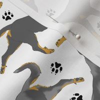 Trotting cropped Beaucerons and paw prints - white