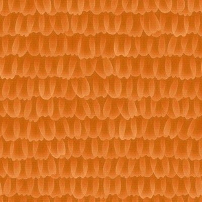 Monarch butterfly scales