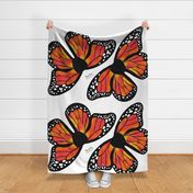 Monarch Butterfly Wings