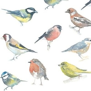 British Garden Birds