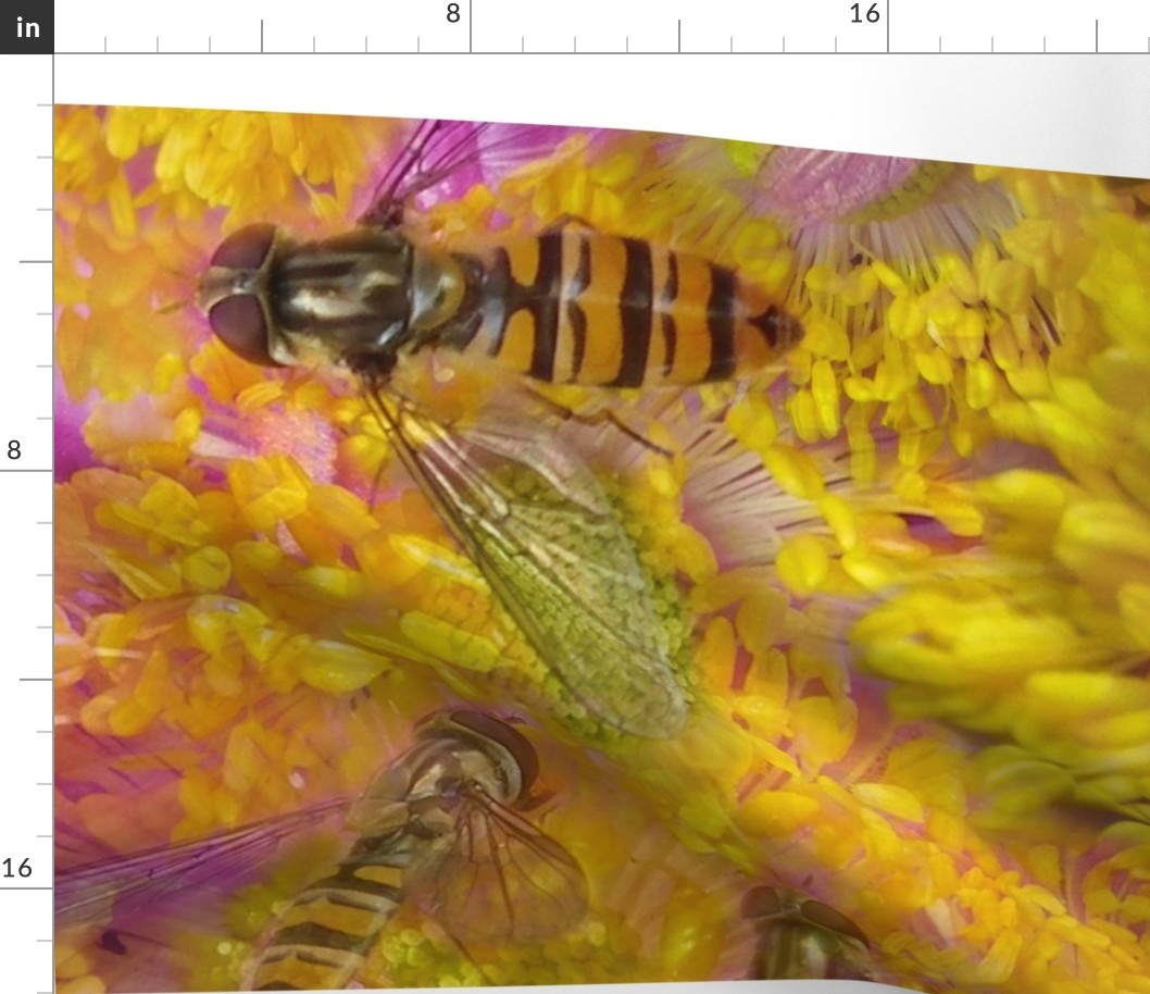  Floral Hoverflies