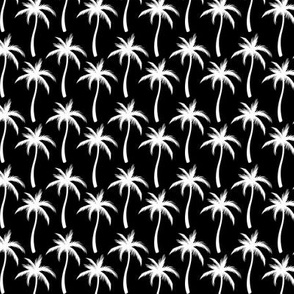 Black And White Palm Trees