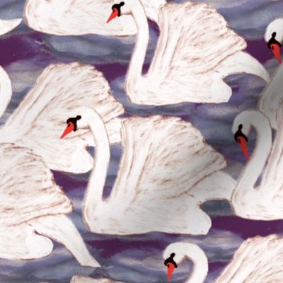 swans in violet