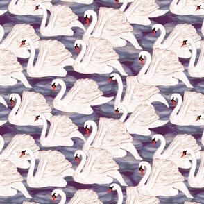 swans in violet