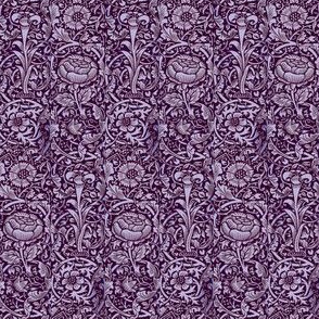 Morris Lily Royal Purple