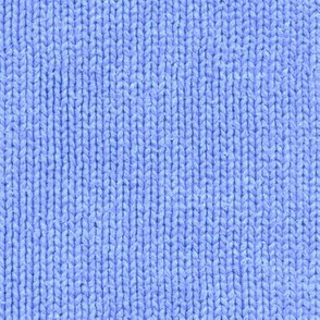 summercolors Carolina blue faux knit