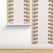 Georgiana  ~ Rose Swag ~ Trianon Cream ~ Double Border