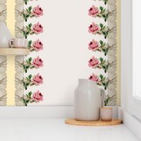 Georgiana  ~ Rose Swag ~ Trianon Cream ~ Double Border