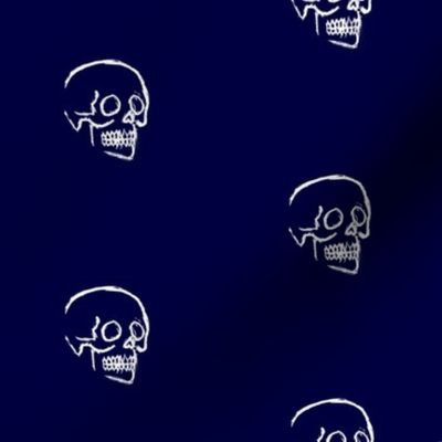 Sketchy Skull on Blue