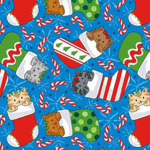 Christmas Stocking Kitties
