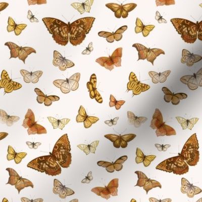 Butterfly Mustard Beige // small