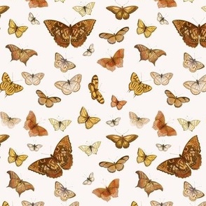 Butterfly Mustard Beige // small