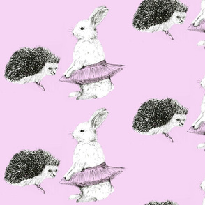 Rabbit and Hedgehog Ballet