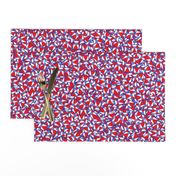 Wichita Flag - Scattered