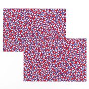 Wichita Flag - Scattered