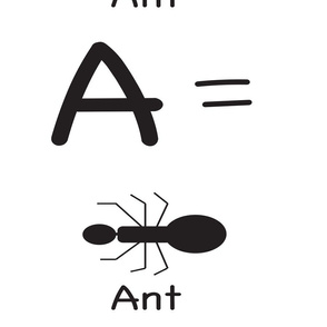 a_ant