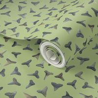 shark teeth on pale green