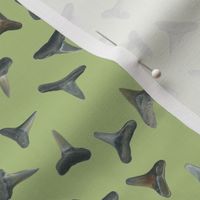 shark teeth on pale green