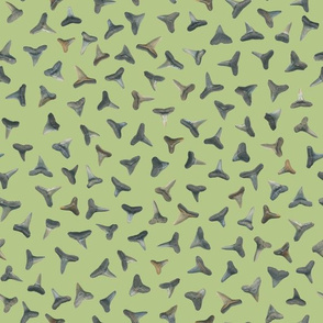 shark teeth on pale green