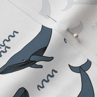 whale // sea creature kids animals nautical ocean 