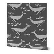 whales // charcoal cetacean whale pod grey whale kids grey