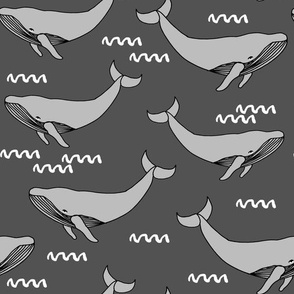 whales // charcoal cetacean whale pod grey whale kids grey