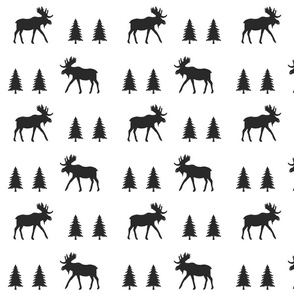 moose trot // black 