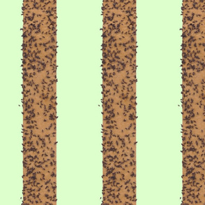 fly_stripe_green_background