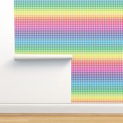 rainbow and white gingham, ~3/8" check, rainbow repeats every 12"