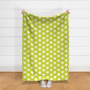Lori in Lime and White | 24" Repeat
