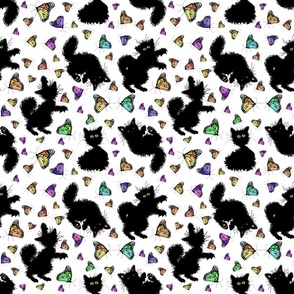 Black Cats and Butterflies