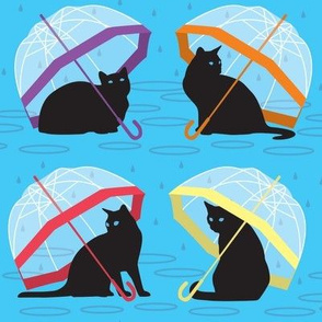 raining cats 'n cats