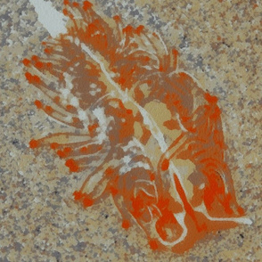 seaslugfossil_adt2014_ppasmp5000a