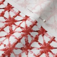 Ditzy Coral and White Tiny Shibori Pattern