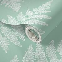 white ferns on pastel green