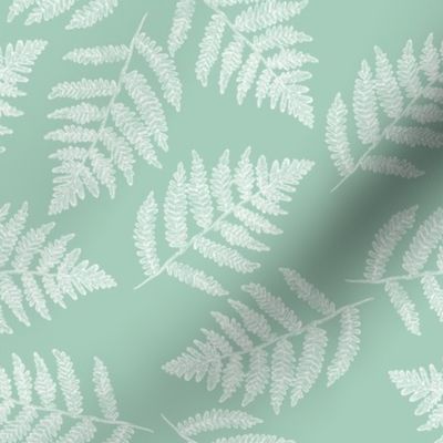 white ferns on pastel green