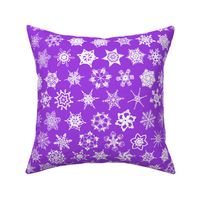 Snowcatcher Crochet Purple