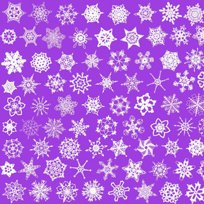 Snowcatcher Crochet Purple