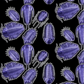 purple trilobites on black