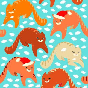 Gatito, orange cats on blue-turquoise  background