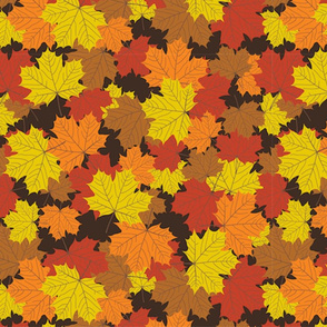 Fall Maple Leaves