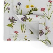 Antique Wildflowers on White // large