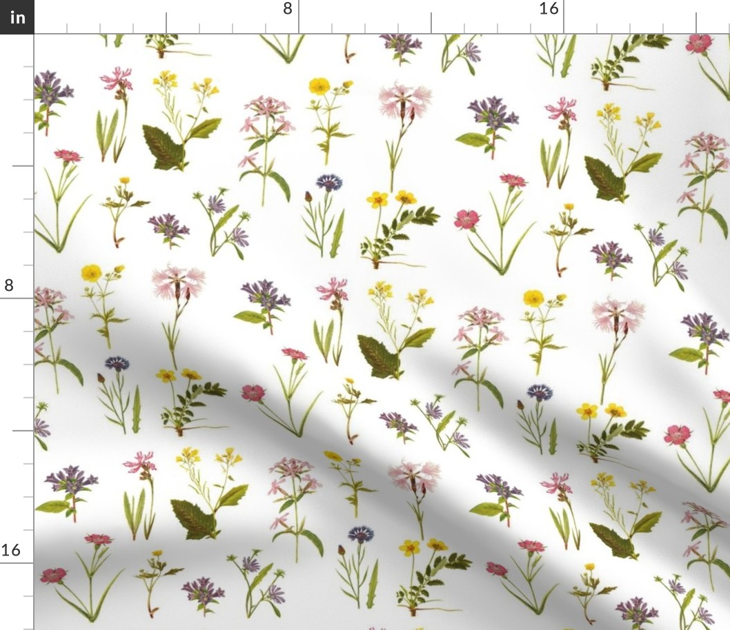 Antique Wildflowers on White // large